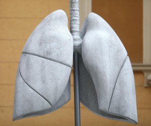 21.02.2022., Sarajevo, Bosna i Hercegovina - Na podrucju grada Sarajeva postavljena su “Pluca grada” instalacija ciji je cilj skrenuti paznju javnosti na stetne posljedice zagadjenja zraka na ljudsko zdravlje. “Pluca grada” napravljena su od bijelog materijala, te su kroz nekoliko dana promjenila boju pod uticajem otrovnih cestica u zraku. Photo: Armin Durgut/PIXSELL