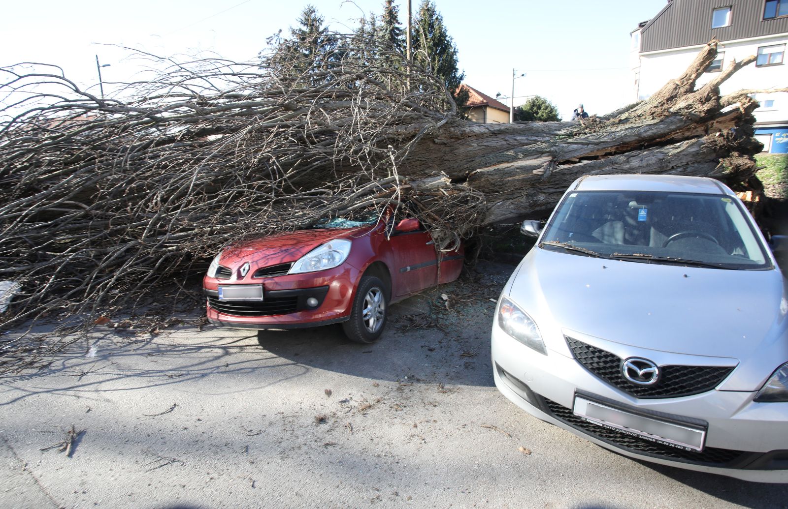 Zagreb, 04.02.2023. - Jak vjetar koji je jutros puhao na zagrebačkom području, srušio je stablo na Fallerovom šetalištu, koje je palo na parkirane automobile na kojima je napravljena materijalna šteta.
foto HINA/ Admir BULJUBAŠIĆ/ abu