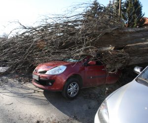 Zagreb, 04.02.2023. - Jak vjetar koji je jutros puhao na zagrebačkom području, srušio je stablo na Fallerovom šetalištu, koje je palo na parkirane automobile na kojima je napravljena materijalna šteta.
foto HINA/ Admir BULJUBAŠIĆ/ abu