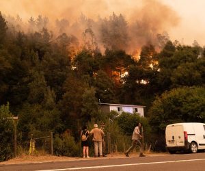 epa10447557 A wild fire near the city of Santa Juana, Chile, 03 February 2023 (Issued 04 February 2023). Chilean regions of Biobio, Nuble and La Araucania are the most affected by fires that have already destroyed more than 45,000 hectares and hundreds homes and have caused evacuations in dozens of municipalities. The fires coincide with a long drought that has lasted for more than thirteen years and with an unprecedented heatwave in the south, with temperatures that can reach 40 degrees Celsius in southern areas in the next few hours.  EPA/PABLO HIDALGO