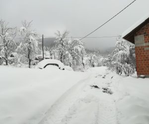 Plaki, 27.02.2023 - Prema podatcima Dravnoga hidrometeorolokog zavoda, u Karlovaèkoj upaniji najvie je snijega palo u Plakom, 41 centimetar, od èega samo danas 25 centimetara, snijeg pada i dalje, ali se normalizirala opskrba strujom i prometnice su prohodne. foto HINA/ Vesna HORVAT/ ik