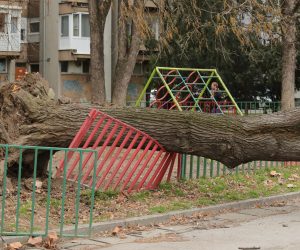 04.02.2023., Osijek - Olujni vjetar jutros je zahvatio osjecko podrucje i prouzrocio znatnu stetu. Centar 112 zaprimio je vise dojava o srusenim stablima, rasvjetnim stupovima ali i odvajanju jednog dijela nadstresnice na Glavnoj trznici. Sluzbe rade na rasciscavanju prometnica i skupljanju  granja te podizanju kanti za smece koje su se prevrtale po kolnicima. Photo: Dubravka Petric/PIXSELL