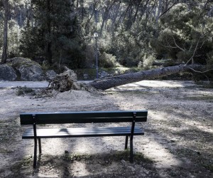 05.02.2023., Split - Steta na Marjanu nakon snazne bure. Photo: Milan Sabic/PIXSELL