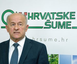 20.06.2022., Petrinja - Svecano otvorenje obnovljene upravne zgrade Sumarije Petrinja uz prisustvo predsjednika Uprave Hrvatskih suma Krunoslava Jakupcica, voditelja Podruznice Sisak Vlatka Petrovica,  zupana Ivana Celjana, gradonacelnice Magdalene Komes i predstavnika Stozera civilne zastite, Tugomira Majdaka, drzavnog tajnika u Ministarstvu poljoprivrede. Photo: Nikola Cutuk/PIXSELL