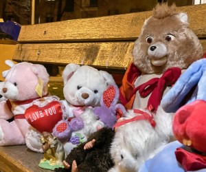 23.12.2020., Zagreb - Plisano drustvo sjedi na klupici uz  cestu u ulici Hrgovici i ceka svoje nove udomitelje.rPhoto: Borna Filic/PIXSELL