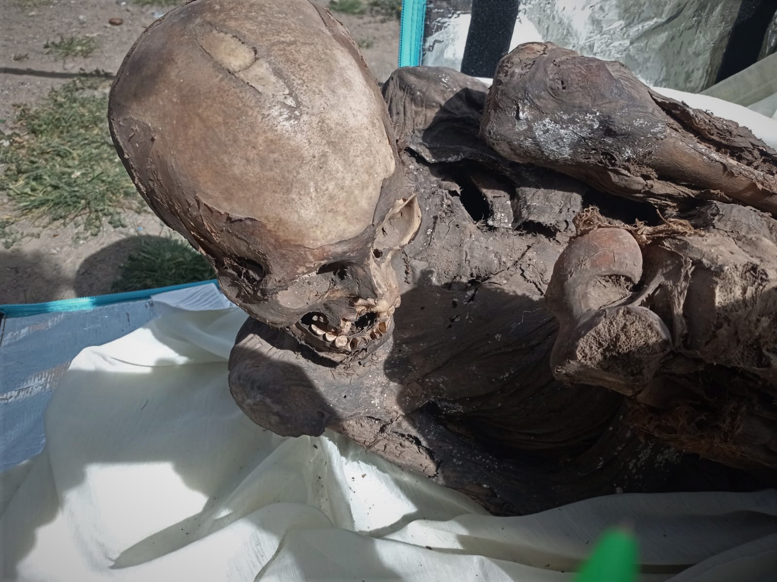 epa10494544 An undated handout photo made available by the Ministry of Culture shows a pre-Hispanic mummy, between 600 and 800 years old, that was found inside a cooler belonging to a delivery man, in Puno, Peru, (issued 28 February 2023).  EPA/Ministry of Culture / HANDOUT  HANDOUT EDITORIAL USE ONLY/NO SALES