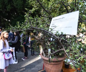 8.10.2022., Zagreb - Godisnja rasprodaja biljaka u Botanickom vrtu. Photo: Neva Zganec/PIXSELL