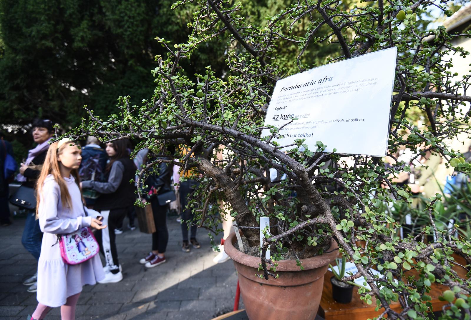 8.10.2022., Zagreb - Godisnja rasprodaja biljaka u Botanickom vrtu. Photo: Neva Zganec/PIXSELL