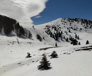 Velebit i na proljeće je pun snijega. No snijeg ne smeta divlje životinje da uživaju u proljeću. Divlji konji pasu travu nedaleko doma Zavižan na 1600 metara nadmorske visine, a medvjeđe šape mogu se vidjeti cijelim dijelom planinarske staze od Oltara do doma. S Velikog Zavižana pruža se pogled na Rab i ostale obližnje otoke.