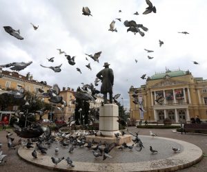 18.01.2023., Rijeka - Jato golubova izvodi vratolomije oko spomenika Ivanu Zajcu u parku pred HNk Ivan pl Zajc.
 Photo: Goran Kovacic/PIXSELL