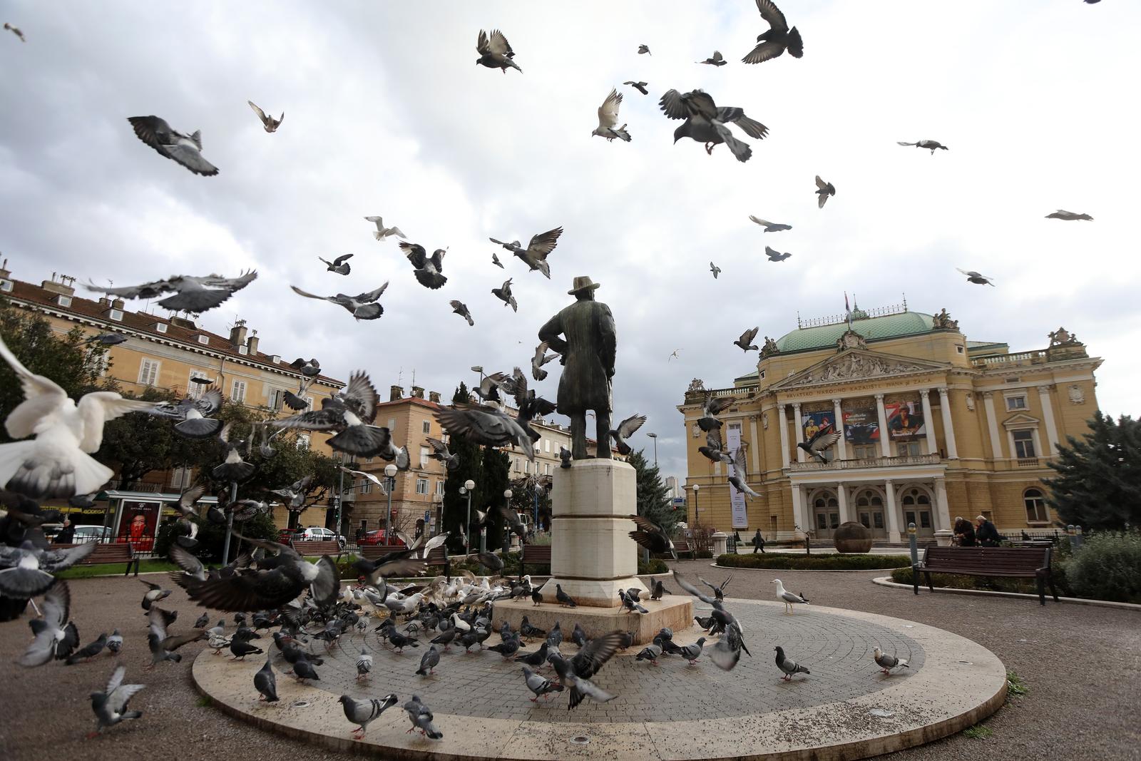 18.01.2023., Rijeka - Jato golubova izvodi vratolomije oko spomenika Ivanu Zajcu u parku pred HNk Ivan pl Zajc.
 Photo: Goran Kovacic/PIXSELL