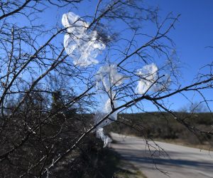 25.01.2022., Sibenik - Iako plasticne vrecice polako odlaze u povijest, neodgovorni pojedinci i dalje ih bacaju  po prirodi. Za izgradnju plasticne vrecice u prirodi potrebno je i po 1000 godina.
 Photo: Hrvoje Jelavic/PIXSELL