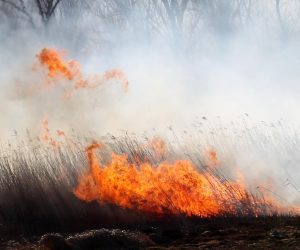 30.12.2016., Biskupija - Unatoc zabrani paljenja trave i korova mnogi se ne pridrzavaju pa pale travu, iako jaka bura pogoduje sirenju pozara, a dim otezava voznju. rPhoto: Dusko Jaramaz/PIXSELL