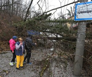 31.03.2013., Zagreb - Uslijed obilne kise koja je pokrenula kliziste, nekoliko stabala srusilo se na cestu u ulici Graberje kod broja 50. Na srecu nitko nije ozlijedjen iako je drvece palo na kucu i autobusnu stanicu. Policija i vatrogasci rasciscavaju cestu.rPhoto: Jurica Galoic/PIXSELL