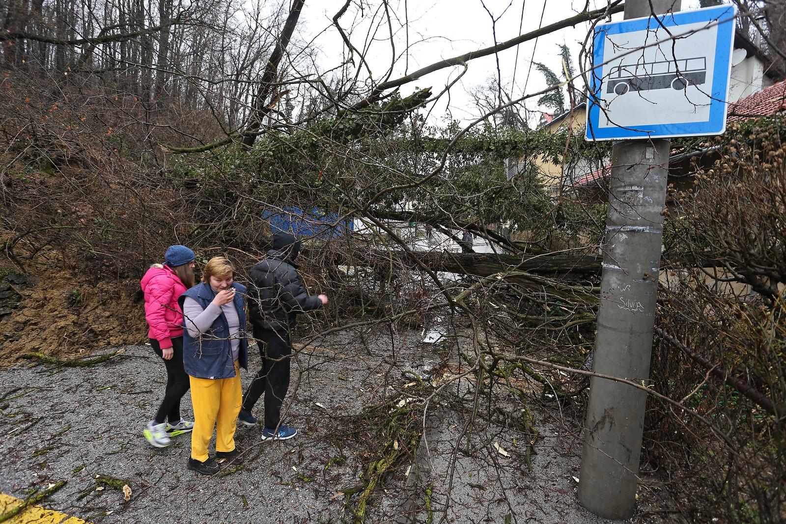 31.03.2013., Zagreb - Uslijed obilne kise koja je pokrenula kliziste, nekoliko stabala srusilo se na cestu u ulici Graberje kod broja 50. Na srecu nitko nije ozlijedjen iako je drvece palo na kucu i autobusnu stanicu. Policija i vatrogasci rasciscavaju cestu.rPhoto: Jurica Galoic/PIXSELL