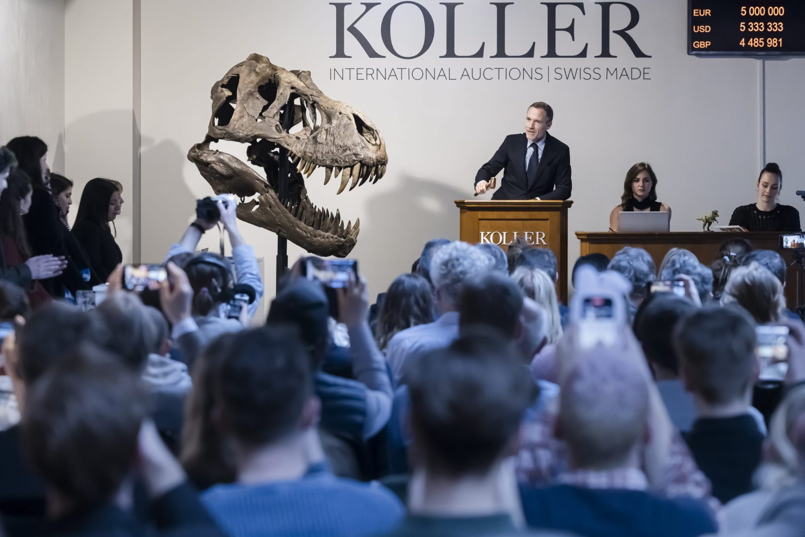 epa10578743 CEO auction house Koller Cyril Koller stands next to the head of the skeleton of a Tyrannosaurus rex named Trinity, during an auction of the auction house Koller in Zurich, Switzerland, 18 April 2023. The 11.6 meter long, 3.9 meter high and 67 million year old T-Rex skeleton was assembled from three specimens excavated from 2008 to 2013 in the Hell Creek and Lance Creek formations in the U.S. states of Montana and Wyoming.  EPA/MICHAEL BUHOLZER