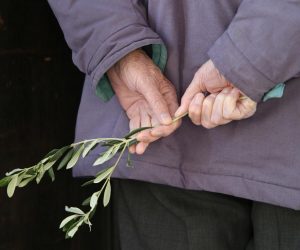 29.03.2015., Split - Blagoslovom maslinovih grancica, misom i procesijom s Presvetim Oltarskim Sakramentom nakon toga i klanjanjem u splitskoj prvostolnici zapoceo Veliki tjedan. r"nMisu je predvodio splitsko-makarski nadbiskup mons. Marin Barisic. r"nPhoto: Ivo Cagalj/PIXSELL