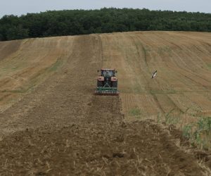 27.07.2012., Koprivnica - Priprema oranice na kojoj je bila psenica za oranje i sijanje secerne repe, ilustracije."nPhoto: Marijan Susenj/PIXSELL