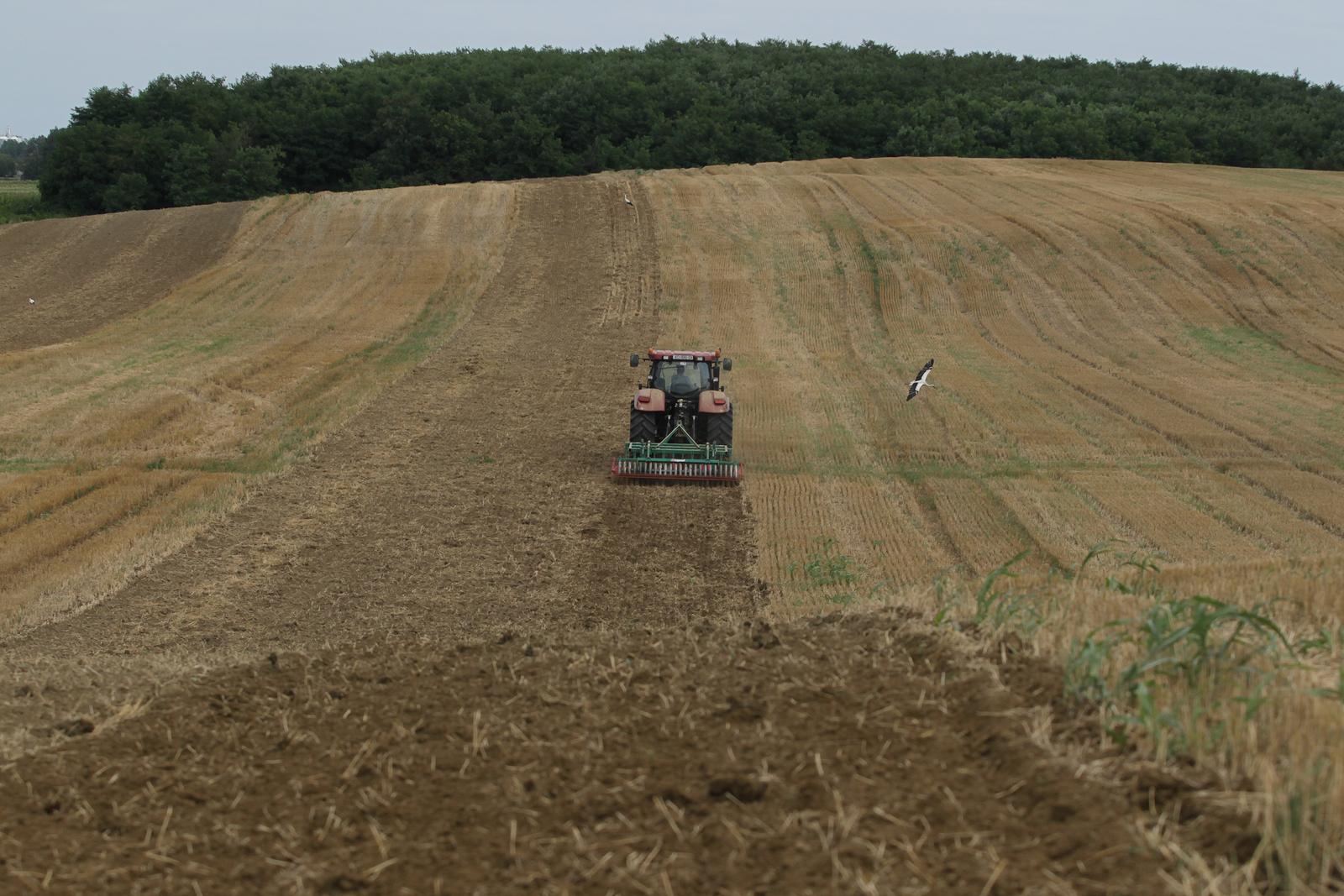 27.07.2012., Koprivnica - Priprema oranice na kojoj je bila psenica za oranje i sijanje secerne repe, ilustracije."nPhoto: Marijan Susenj/PIXSELL