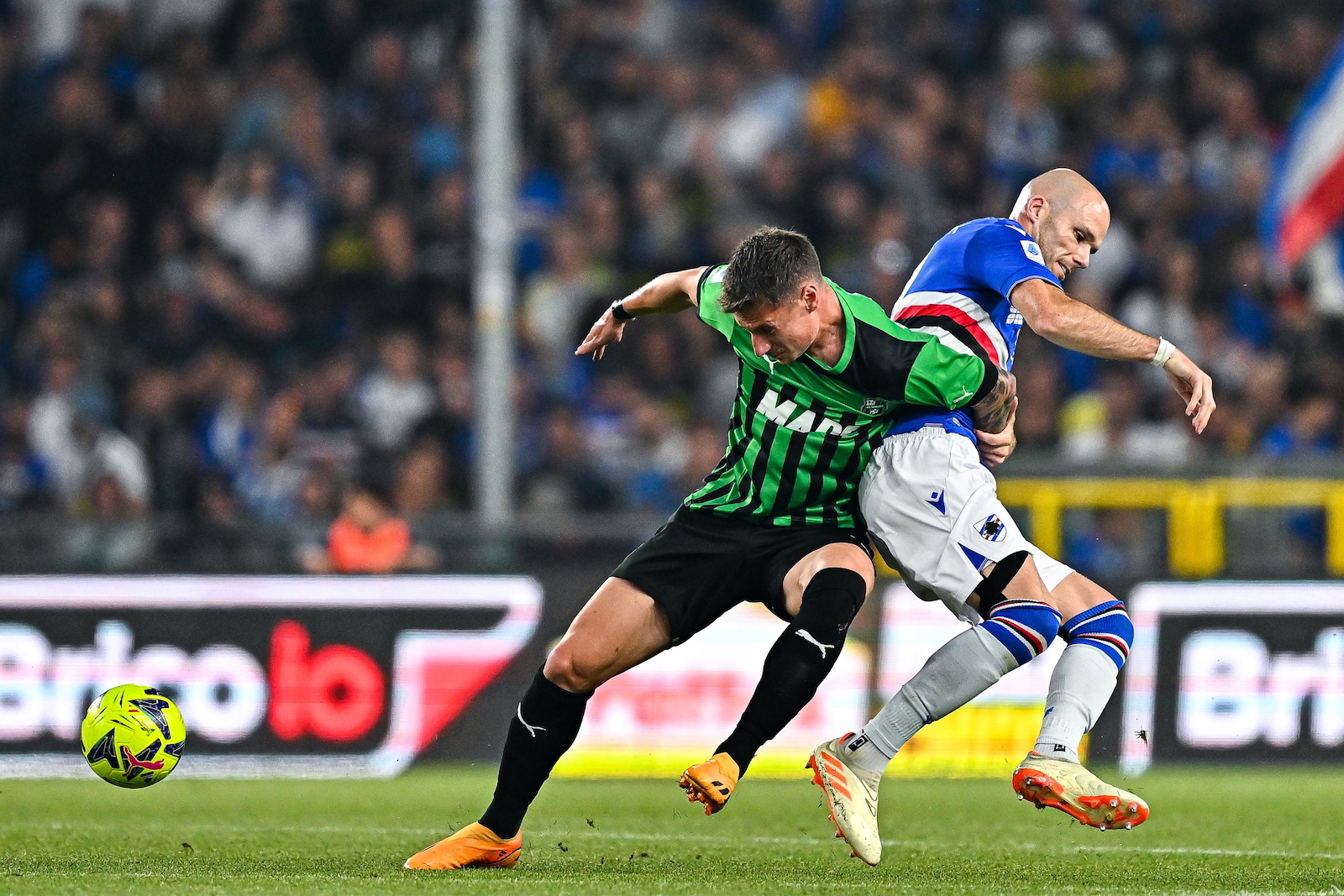epa10656195 Sassuolo's Italian forward Andrea Pinamonti (center) and Sampdoria's Dutch defender Bram Nuytinck in action during the Italian Serie A soccer match between UC Sampdoria and US Sassuolo, in Genoa, Italy, 26 May 2023.  EPA/STRINGER