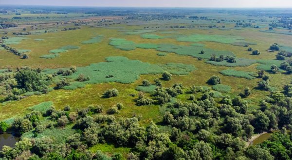 25.08.2022., Kopacki rit - Park prirode Kopacki rit jedna od najvecih mocvara Europe. Zbog niskog vodostaja rijeke Dunav veci dio Kopackog rita je bez vode. Photo: Davor Javorovic/PIXSELL