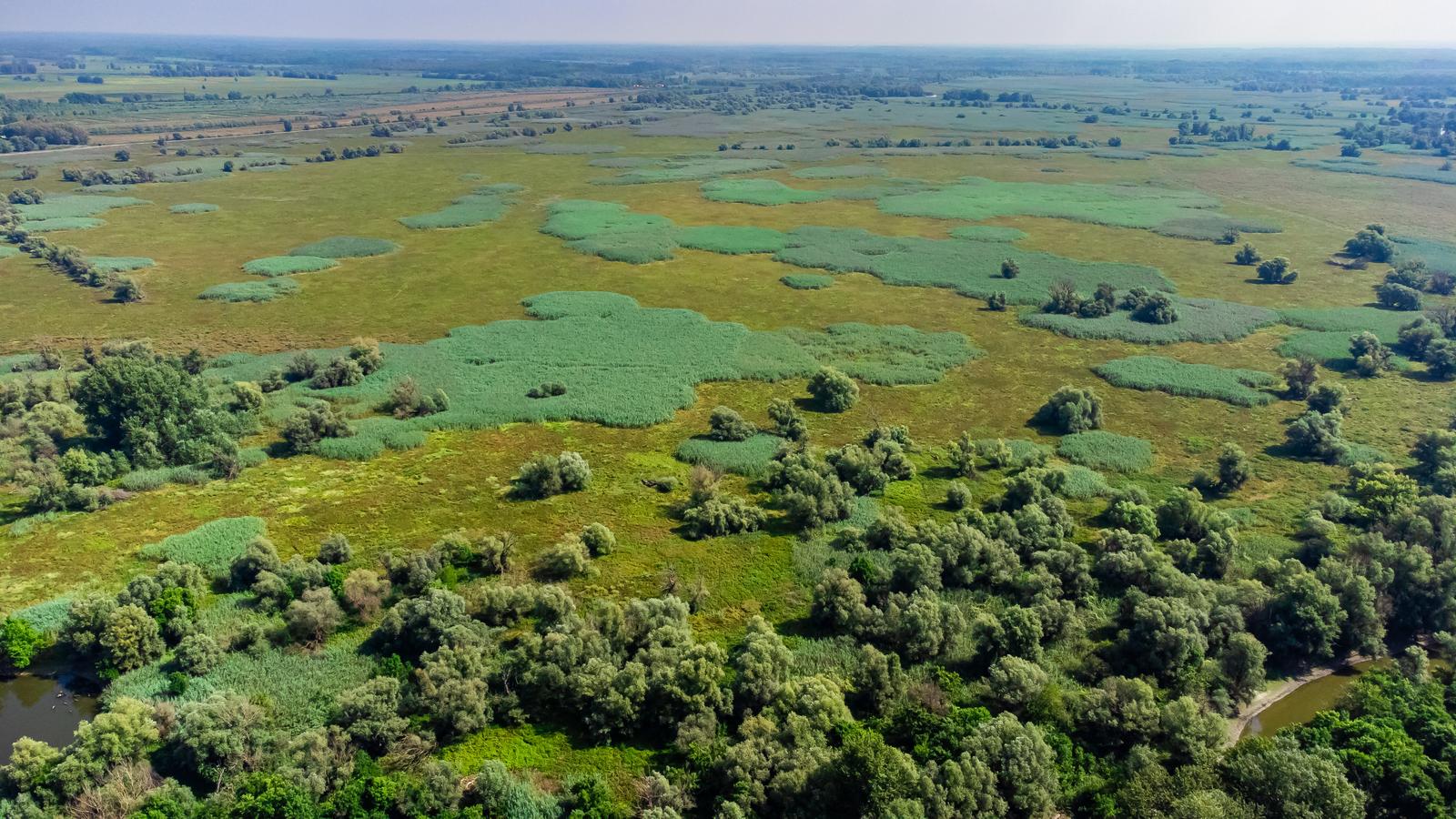 25.08.2022., Kopacki rit - Park prirode Kopacki rit jedna od najvecih mocvara Europe. Zbog niskog vodostaja rijeke Dunav veci dio Kopackog rita je bez vode. Photo: Davor Javorovic/PIXSELL