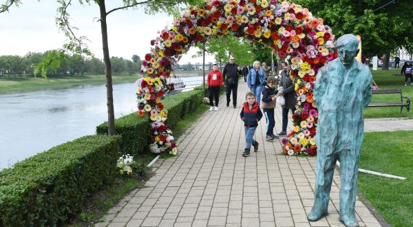 08.05.2023.,Sisak - Na Setnici Slave Striegla otvoren je tradicionalni Sisacki sajam cvijeca.
 Photo: Nikola Cutuk/PIXSELL