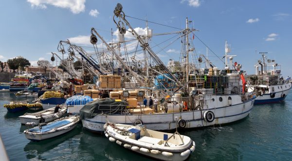 15.04.2019., Zadar - Udruga plivaricara tunolovaca koju cine 19 clanova od Zadra do Korcule s 19 brodova i 170 clanova posade odrzali su prosvjed u zadarskoj gradskoj luci kod mosta. rPhoto: Dino Stanin/PIXSELL