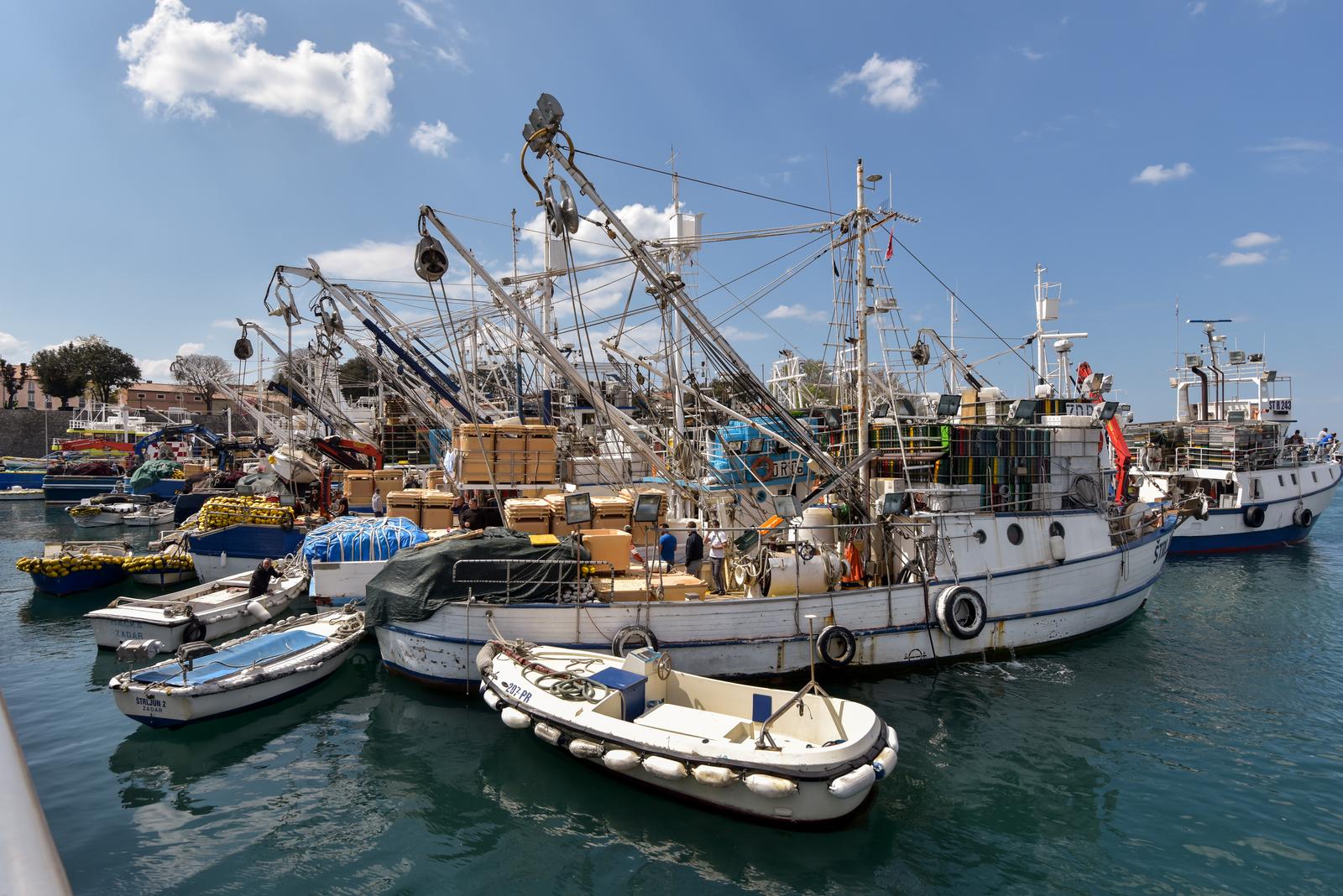 15.04.2019., Zadar - Udruga plivaricara tunolovaca koju cine 19 clanova od Zadra do Korcule s 19 brodova i 170 clanova posade odrzali su prosvjed u zadarskoj gradskoj luci kod mosta. rPhoto: Dino Stanin/PIXSELL