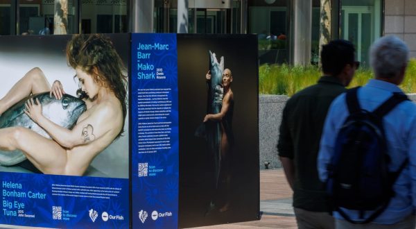 epa10676105 Portraits of celebrities are on display as part of the thought-provoking photo exhibition 'Ending EU Overfishing: The Decade Past and the Decade to Come,' in front of the EU Parliament in Brussels, Belgium, 06 June 2023. Since 2009 celebrities pose naked with fish for Fishlove organisation to promote sustainable fishing and protect marine ecosystems.  EPA/OLIVIER MATTHYS