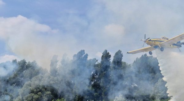 Prelog, 20.06.2023 - Prvi put u Hrvatskoj, u Oprovcu kraj Preloga, u utorak je odrana demonstracija gaenja poara na otvorenome  gelom Hydrexom  pomijeanim s vodom kojim protupoarni zrakoplov gasi vatru tako to gel brzo i sniava temperaturu u njezinu sreditu pa se troi znatno manje vode. Na  pokaznoj vjebi je bio i glavni vatrogasni zapovjednik Slavko Tucakoviæ koji je istaknuo da je glavni cilj dananje vjebe bilo testiranje gela kako bi se vidjelo koliko je uèinkovit u gaenju i kontroliranju poara, te mogu li se uvesti nove tehnologije i taktike gaenja poara na otvorenome. foto HINA/ Sinia KALAJDIJA/ ik