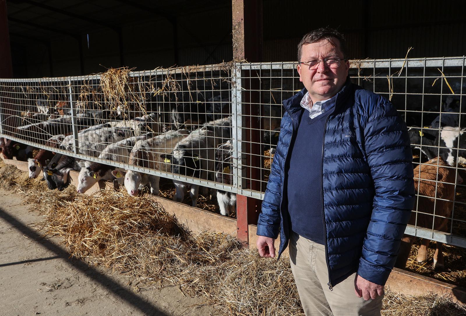 01.12.2021., Kriz, Ivanic Grad - Farma goveda Zvonimir Sirjan. Photo: Marko Prpic/PIXSELL