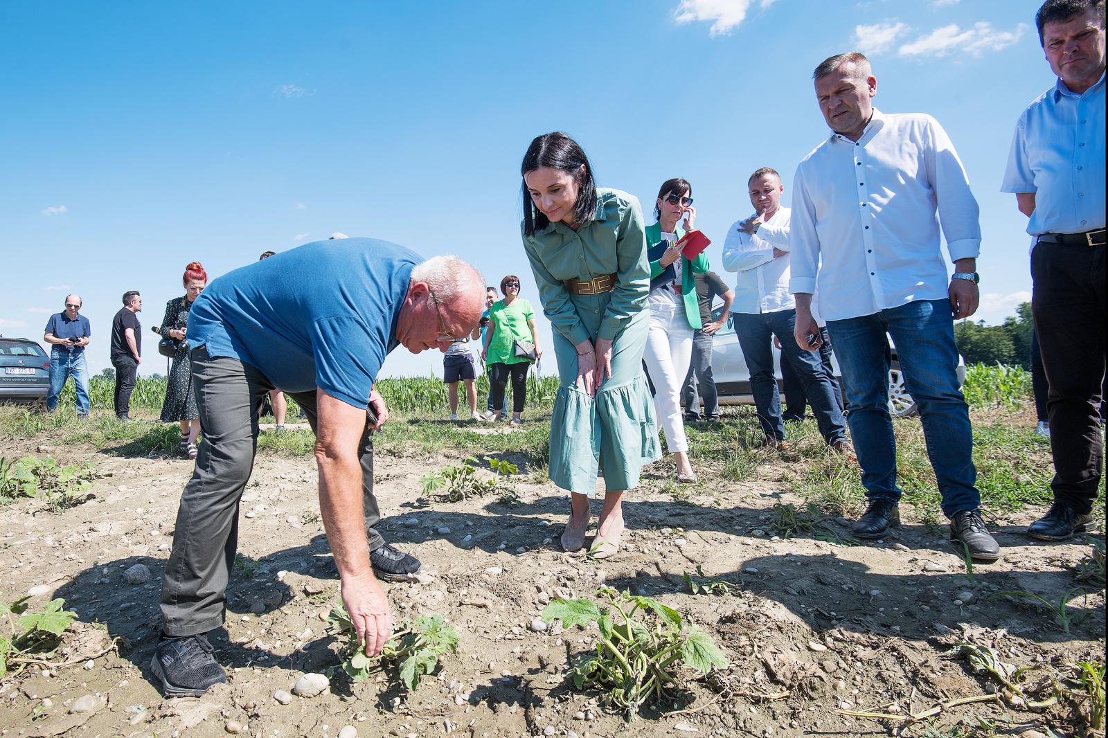 29.06.2023., Strmec Podravski- Ministrica poljoprivrede Marija Vuckovic  i zupan Andjelko Stricak obisli tucom pogodjena podrucja. Photo: Vjeran Zganec Rogulja/PIXSELL