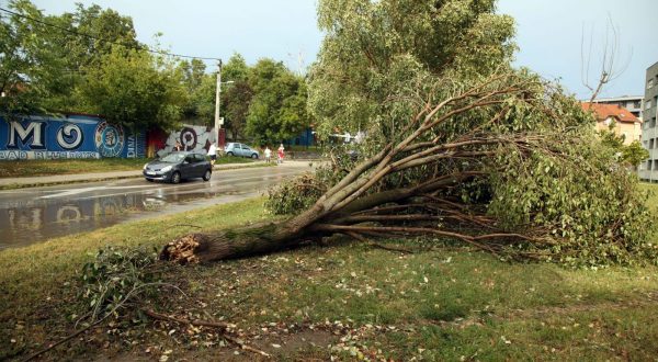 Zagreb, 19.07.2023 - Olujno nevrijeme u Zagrebu. Na fotografiji poplavljena ulica Vukomerec u Zagrebu. Na fotografiji srueno stablo.
Foto HINA/ Denis CERIC /dc