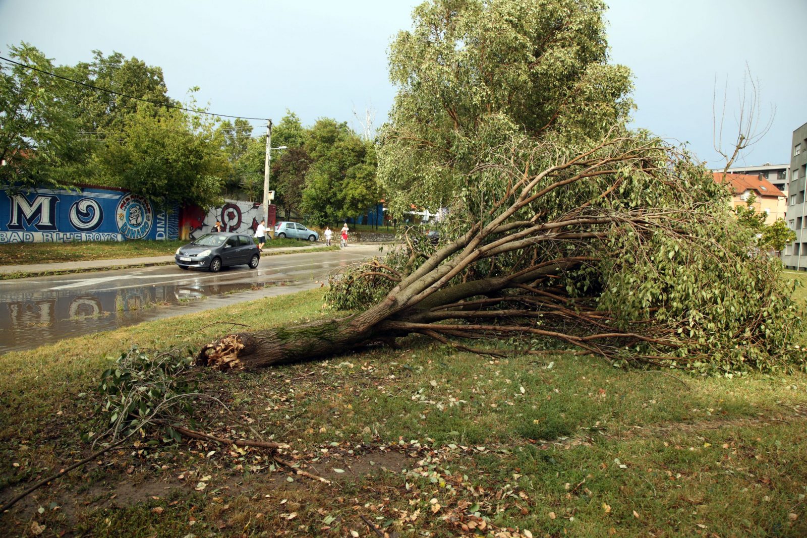 Zagreb, 19.07.2023 - Olujno nevrijeme u Zagrebu. Na fotografiji poplavljena ulica Vukomerec u Zagrebu. Na fotografiji srueno stablo.
Foto HINA/ Denis CERIC /dc