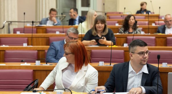 Zagreb, 21.07.2023. - Na zahtjev predsjednika Republike Hrvatske Zorana Milanovića, predsjednik Hrvatskoga sabora Gordan Jandroković  sazvao je 17. izvanrednu sjednicu Hrvatskoga sabora.
Na fotografiji Romana Nikolić, Domagoj Hajduković.
foto HINA/ Edvard ŠUŠAK/ es