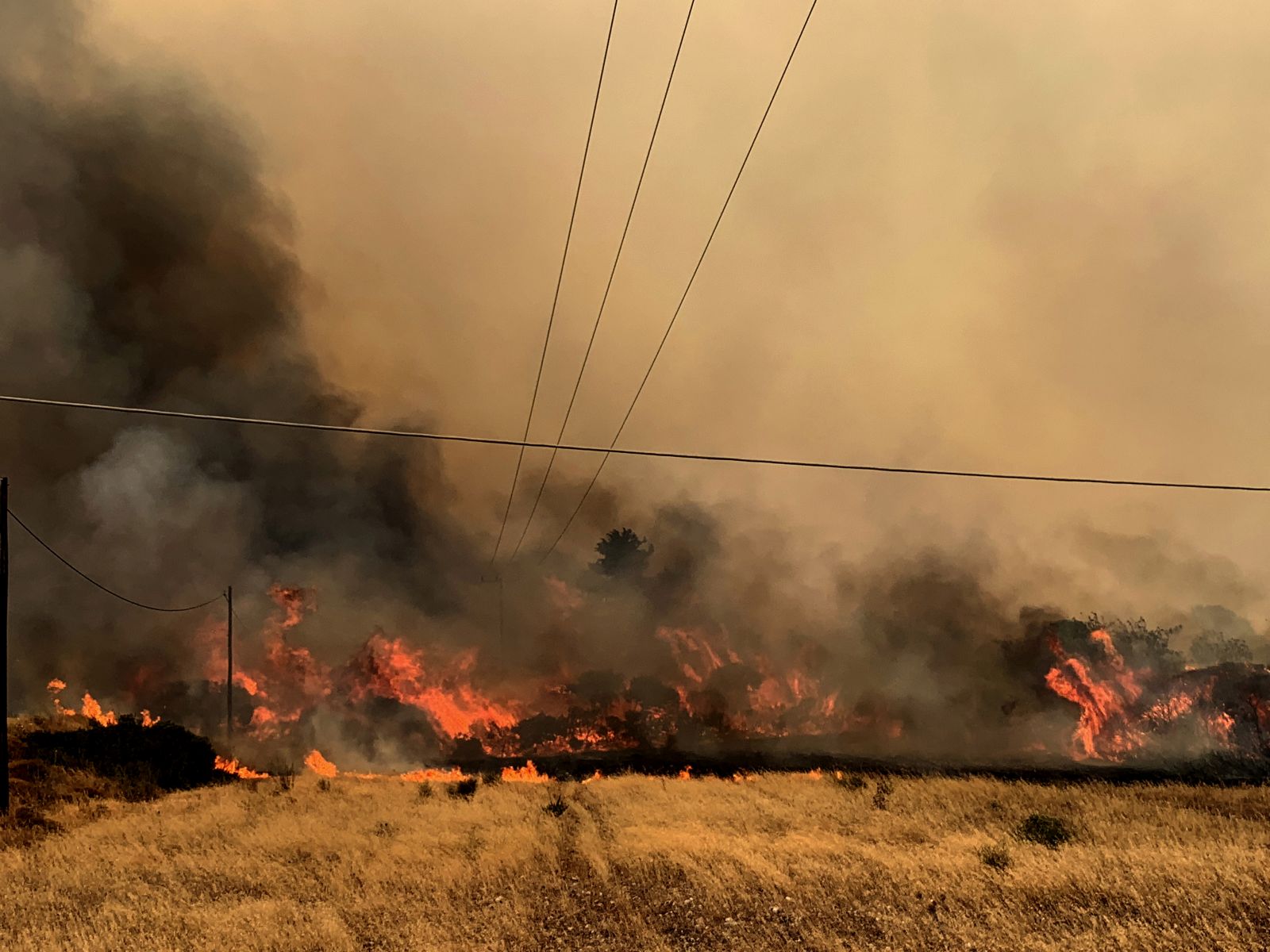 epa10766541 A fire burns trees and low vegetation in the Kiotari area of ​​Rhodes, Greece, 24 July 2023. The fire brigade and volunteers are fighting to prevent the fire from entering the villages of Gennadi and Vati, in southern Rhodes. Several fire engines and volunteers have rushed to the area, while water is being thrown from firefighting planes. A while ago, by order from 112, it was decided to evacuate both villages. The battle continues in Asclepion.  EPA/LEFTERIS DAMIANIDIS