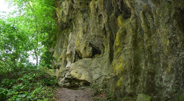 01.07.2021., Slatina - Turisticka patrola, grad Slatina. Najpopularnije i nadaleko poznato izletiste u okolici Slatine (40-ak km) u sklopu UNESCO-vog Parka prirode Papuk je izletiste Jankovac kojeg krase brojne atrakcije, slapovi, potoci, jezera, sume, pa ga neki od milja zovu Plitvice u malom. Planinarska staza uz zute stijenerPhoto:Damir Spehar/PIXSELL
