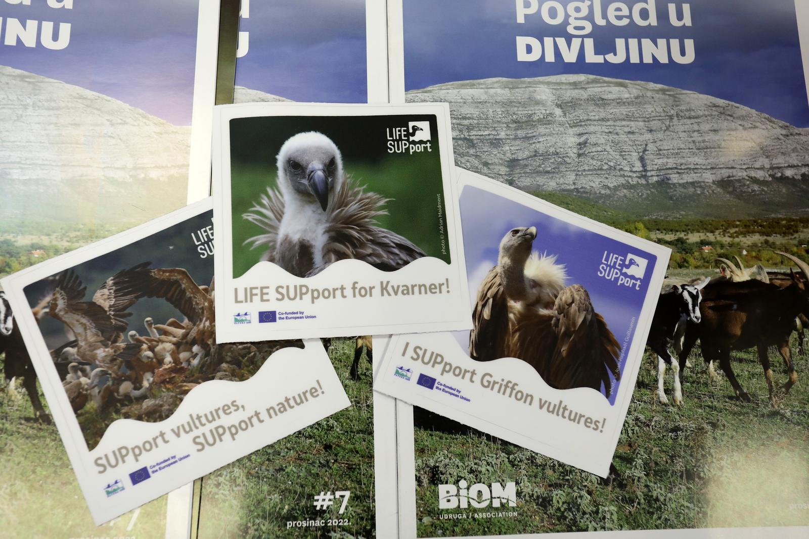 06.07.2023., Rijeka - Predstavljanje projekta LIFE SUPport - osiguravanje buducnosti za bjeloglave supove u Hrvatskoj, koji provodi udruga BIOM zajedno sa partnerima: Javnom ustanovom Priroda, Poljoprivrednom zadrugom Otok Krk, HEP-om i Upravom za zastitu prirode. Govorili su: Dubravko Dender, Irena Juric, Karla Skorjanc, Marta Malenica Cepelak i Zrinka Domazetovic. Photo: Goran Kovacic/PIXSELL
