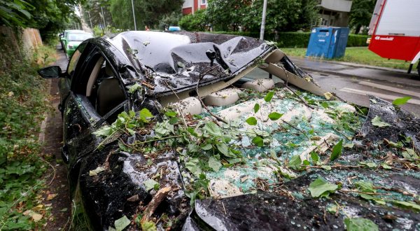 12.07.2023. Zagreb - Iznenadno nevrijeme u srijedu ujutro pogodilo je grad. Zagrebacki vatrogasci u samo sat vremena imali su 11 intervencija uklanjanja stabla. Photo: Igor Kralj/PIXSELL