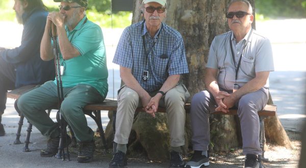14.06.2023., Karlovac - Suncano i toplo ljetno vrijeme izmamilo je brojne gradane u parkove te privuklo i turiste na razgledavanje gradskih znamenitosti. Photo: Kristina Stedul Fabac/PIXSELL