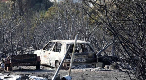 14.07.2023.,Grebastica - Apokalipticne scene  dan nakon velikog pozara koji je buknuo na lokaciji Grebastica u Šibensko-kninskoj županiji Photo: Dusko Jaramaz/PIXSELL