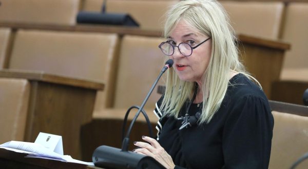 16.05.2023., Zagreb - U Saboru je odrzan okrugli stol "Uloga odgojno obrazovnih ustanova u ranom i predskolskom odgoju u prevenciji nasilja medju djecom" u organizaciji Kluba zastupnika Socijaldemokrati. Photo: Patrik Macek/PIXSELL