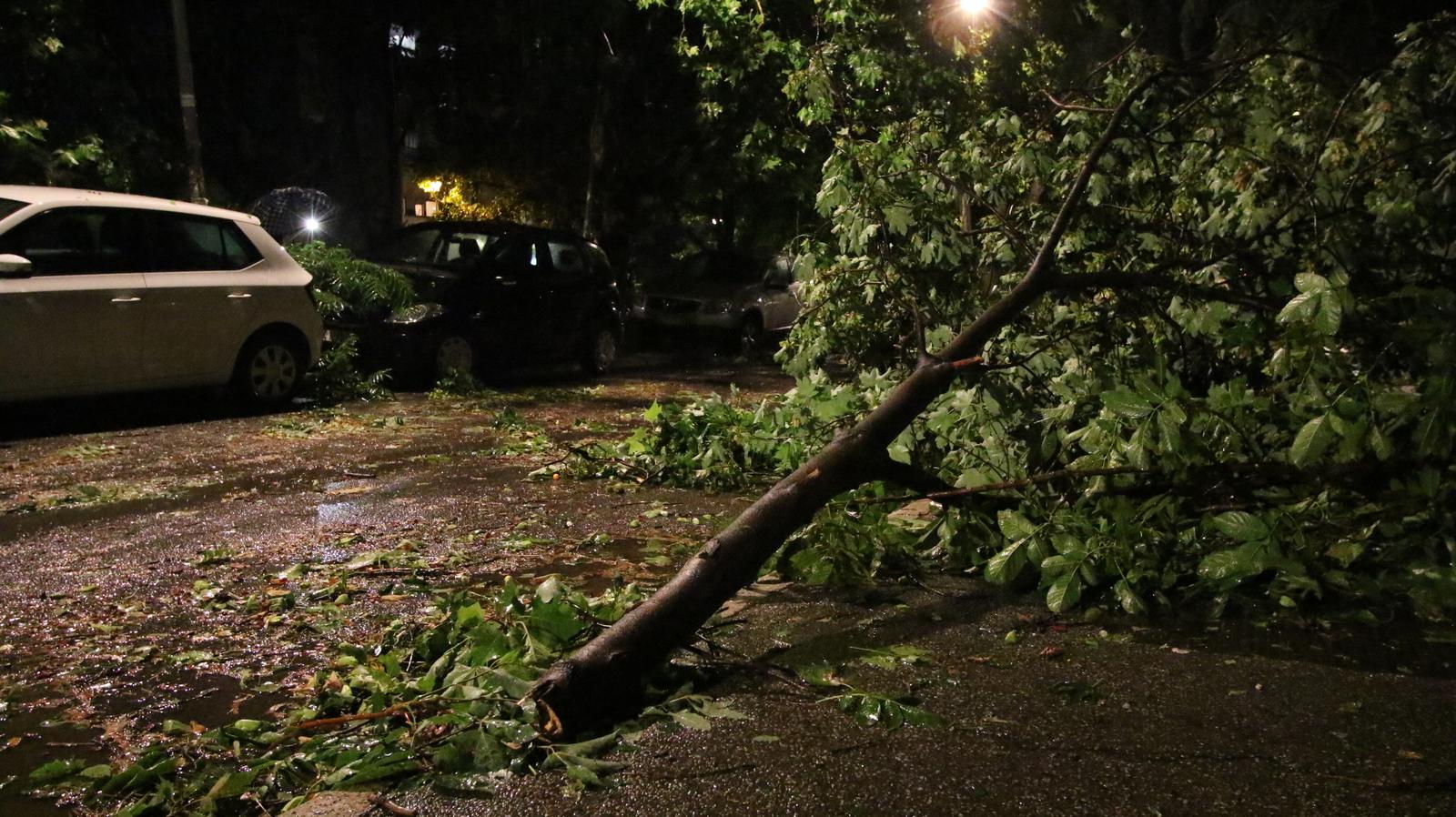 19, July, 2023, Belgrade - Consequences of a thunderstorm in Serbia, a tree fell on a car in Vozdovac. Photo: A.M./ATAImages

19, jul, 2023, Beograd - Posledice grmljavinska oluja u Srbije, stablo palo na automobil na Vozdovcu. Photo: A.M./ATAImages