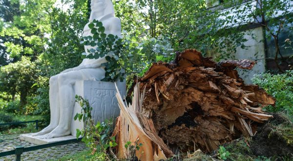 20.07.2023., Zagreb- Jucerasnje nevrijeme u Zagrebu prouzrocilo je stetu na drvecu u Zoloskom vrtu.
                                
 Photo: Sandra Simunovic/PIXSELL