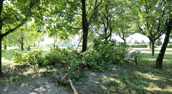 20.07.2023., Zagreb, U Gajnicama u parku jos su vidljive stete od jakog nevremena koje je jucer u popodnovnim satima pogodilo Zagreb. Photo: Emica Elvedji/PIXSELL