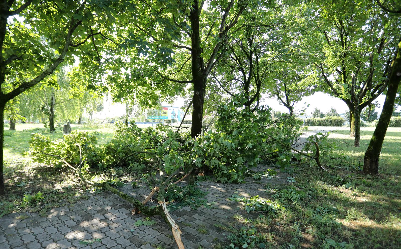 20.07.2023., Zagreb, U Gajnicama u parku jos su vidljive stete od jakog nevremena koje je jucer u popodnovnim satima pogodilo Zagreb. Photo: Emica Elvedji/PIXSELL