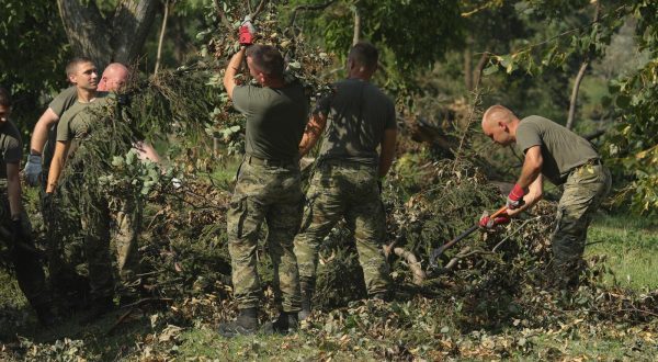 23.07.2023., Vinkovci, Cerna - Vojska cisti nakon olujnog nevremena koje je zadesilo Slavoniju. Photo: Dubravka Petric/PIXSELL