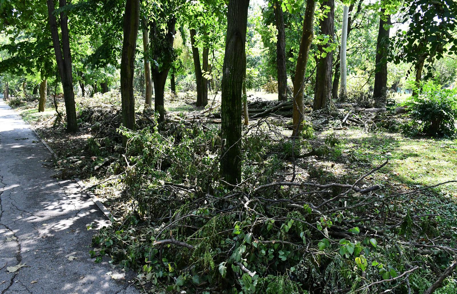 23.07.2023., Slavonski Brod - Cetiri dana nakon razornog nevremena sluzbe ne uspjevaju ukloniti njegove posljedice u sredistu grada. Photo: Ivica Galovic/PIXSELL