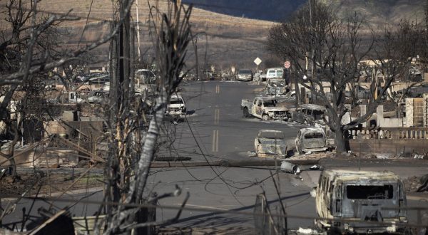 epa10799486 Burnt trees and cars and the ruins of houses are what is left after the Lahaina fire burnt through the city, in Lahaina, Hawaii, USA, 13 August 2023. At least 93 people were killed in the wildfires burning in Maui, which is considered the largest natural disaster in Hawaii's state history.  EPA/ETIENNE LAURENT